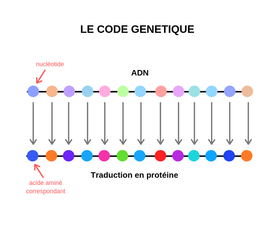 code génétique